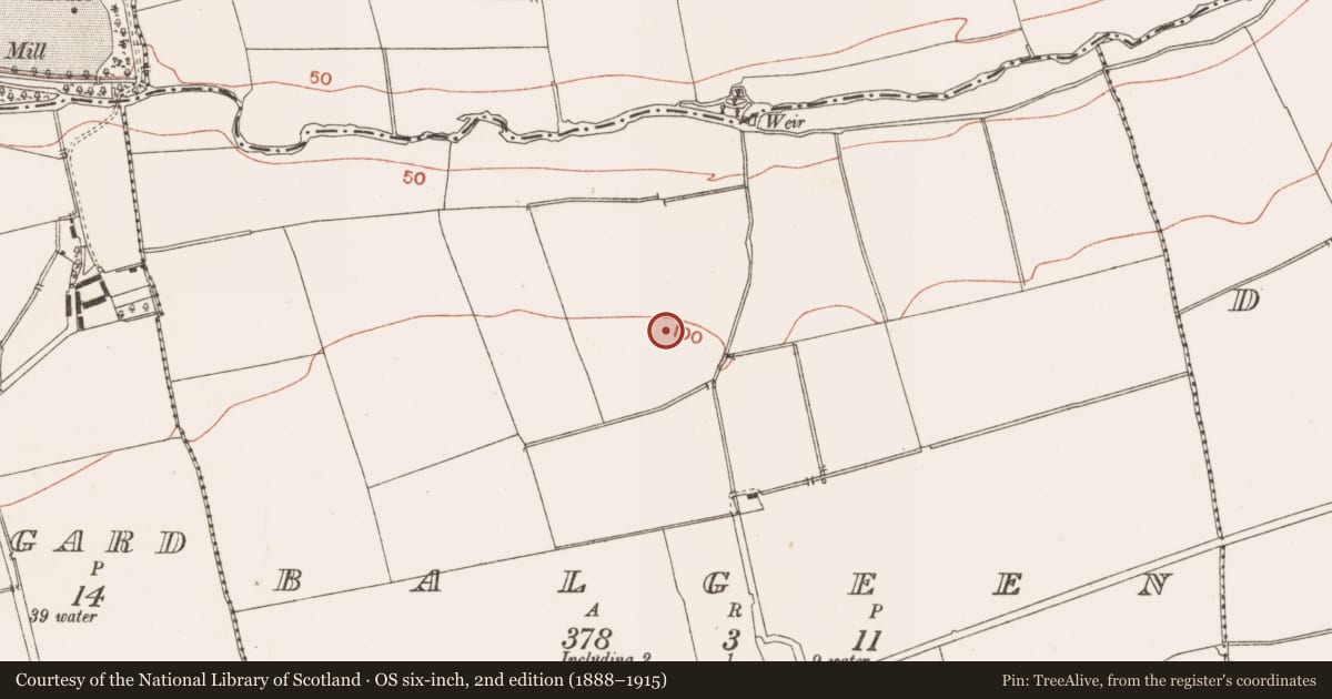 Ordnance Survey six-inch map, 2nd edition (1888–1915) covering the location of Habitation site, Balgeen, County Meath, with a pin at the register's coordinates