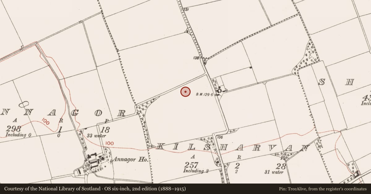 Ordnance Survey six-inch map, 2nd edition (1888–1915) covering the location of Excavation - miscellaneous, Kilsharvan, County Meath, with a pin at the register's coordinates