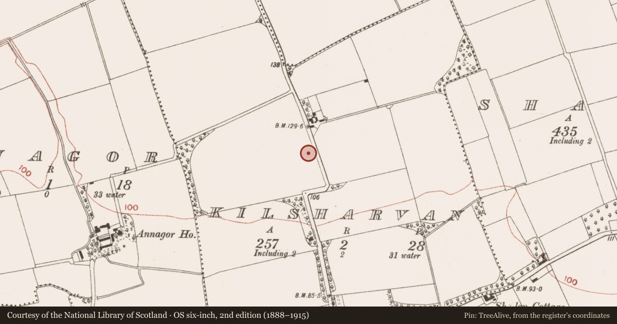 Ordnance Survey six-inch map, 2nd edition (1888–1915) covering the location of Excavation - miscellaneous, Kilsharvan, County Meath, with a pin at the register's coordinates