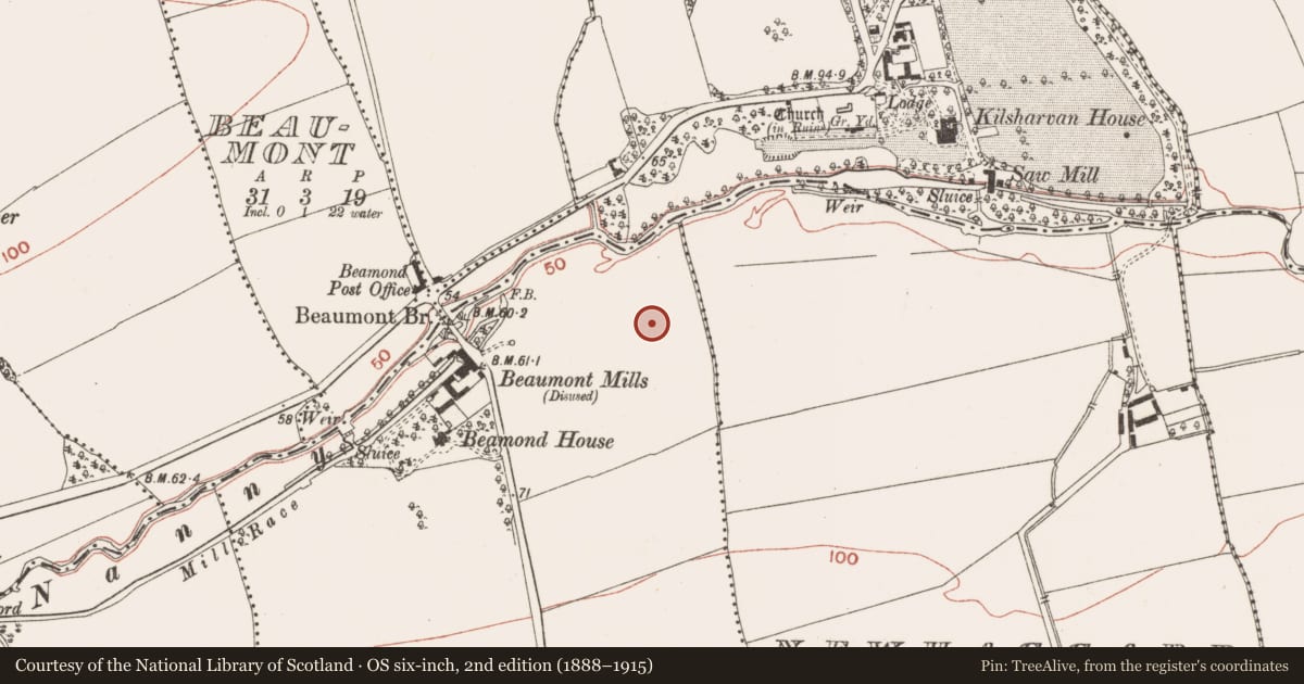 Ordnance Survey six-inch map, 2nd edition (1888–1915) covering the location of Ring-ditch, Beaumont, County Meath, with a pin at the register's coordinates