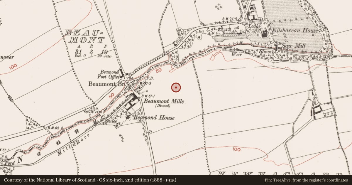 Ordnance Survey six-inch map, 2nd edition (1888–1915) covering the location of Ring-ditch, Beaumont, County Meath, with a pin at the register's coordinates