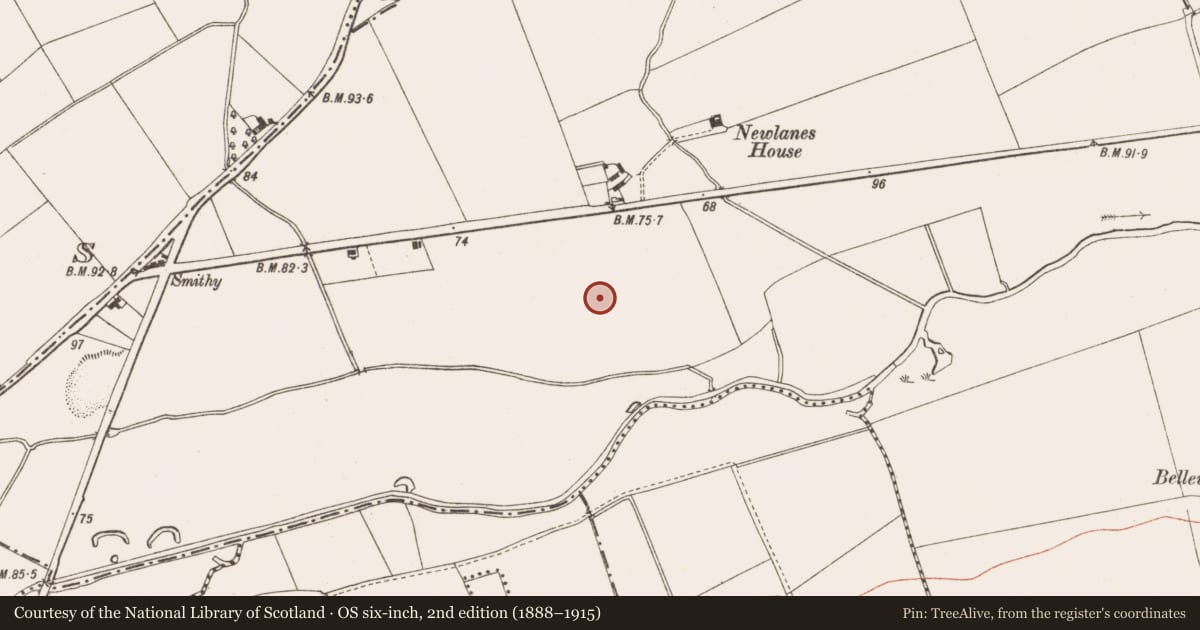Ordnance Survey six-inch map, 2nd edition (1888–1915) covering the location of Ring-ditch, Bellewstown, County Meath, with a pin at the register's coordinates