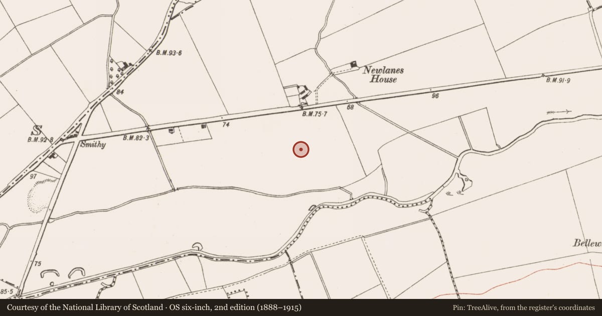 Ordnance Survey six-inch map, 2nd edition (1888–1915) covering the location of Ring-ditch, Bellewstown, County Meath, with a pin at the register's coordinates