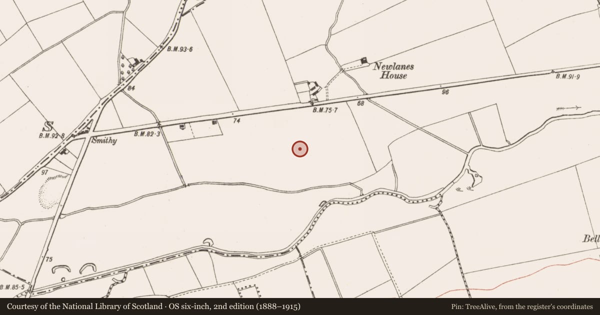 Ordnance Survey six-inch map, 2nd edition (1888–1915) covering the location of Ring-ditch, Bellewstown, County Meath, with a pin at the register's coordinates