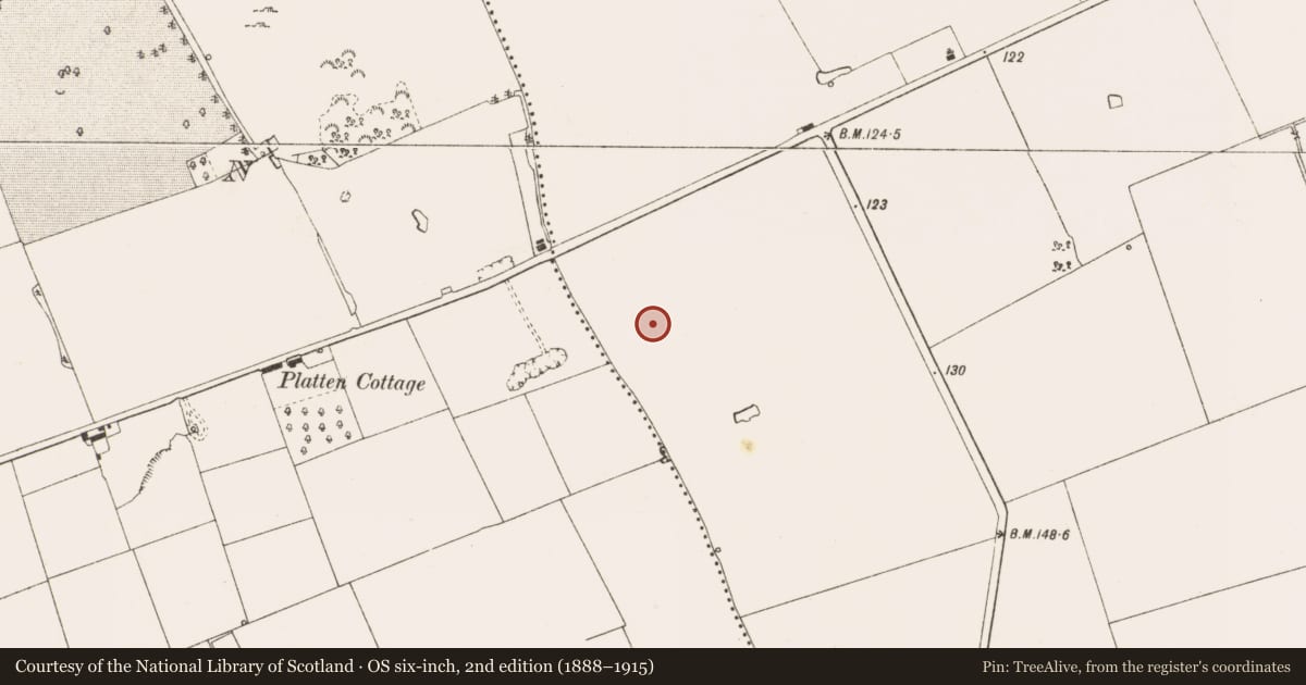 Ordnance Survey six-inch map, 2nd edition (1888–1915) covering the location of Ring-ditch, Bey More, County Meath, with a pin at the register's coordinates
