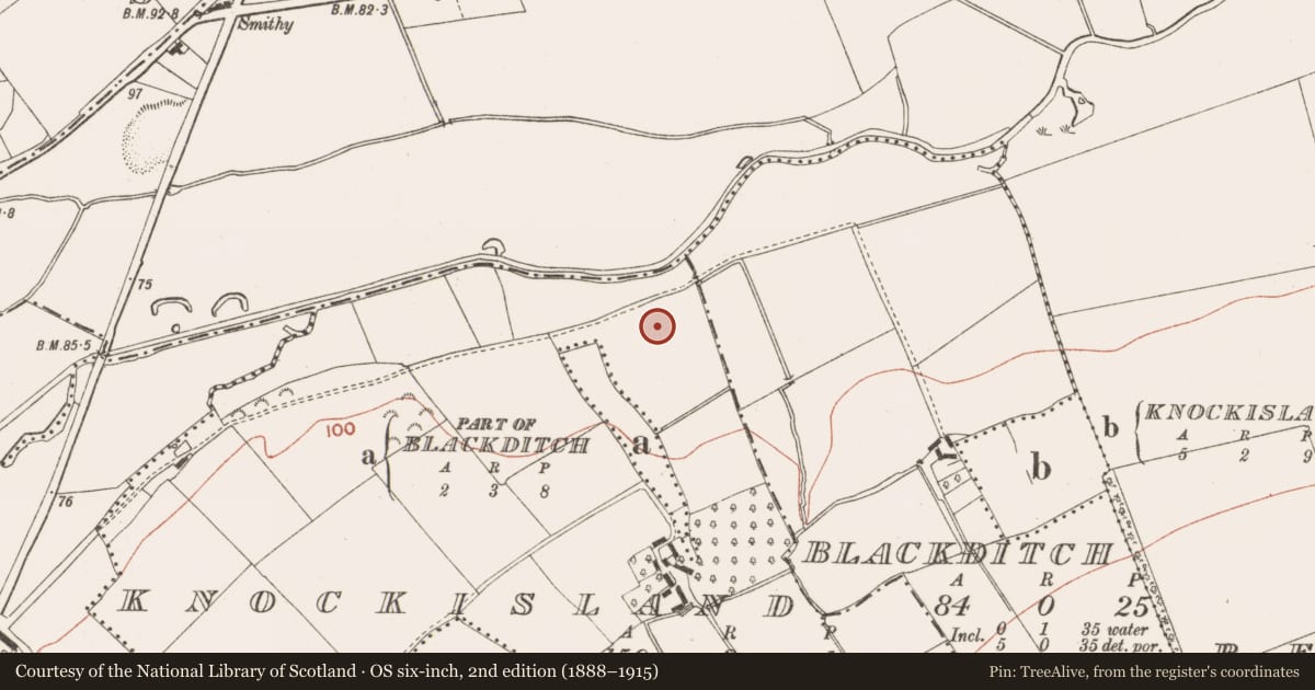 Ordnance Survey six-inch map, 2nd edition (1888–1915) covering the location of Ring-ditch, Knockisland, County Meath, with a pin at the register's coordinates