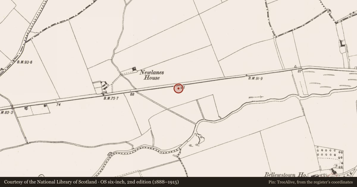 Ordnance Survey six-inch map, 2nd edition (1888–1915) covering the location of Enclosure, Bellewstown, County Meath, with a pin at the register's coordinates