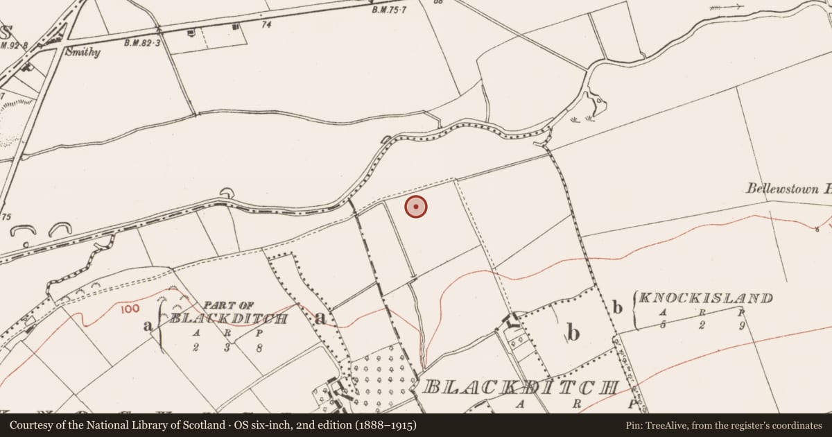 Ordnance Survey six-inch map, 2nd edition (1888–1915) covering the location of Enclosure, Blackditch, County Meath, with a pin at the register's coordinates