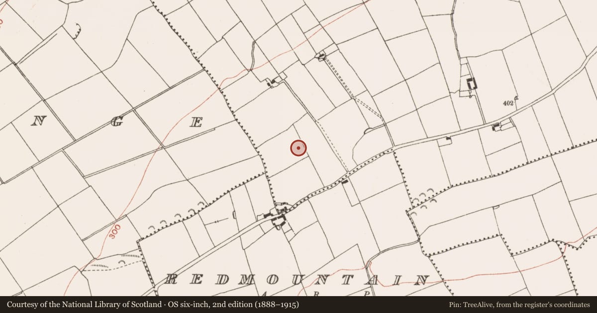 Ordnance Survey six-inch map, 2nd edition (1888–1915) covering the location of Barrow - mound barrow, Stalleen, County Meath, with a pin at the register's coordinates