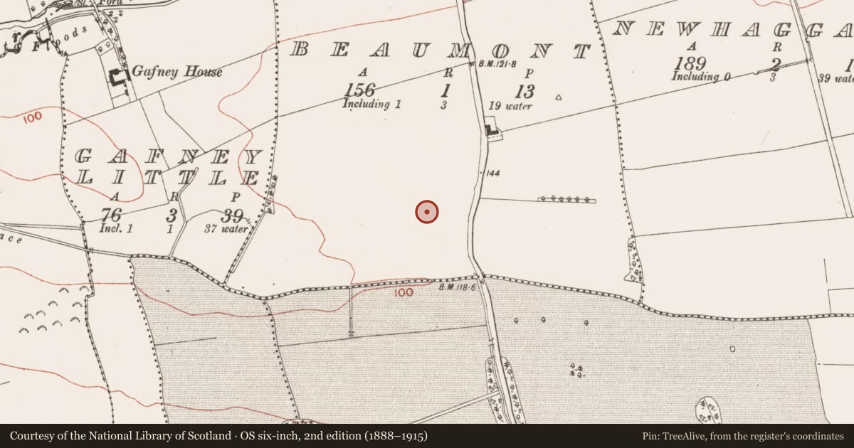 Ordnance Survey six-inch map, 2nd edition (1888–1915) covering the location of Ringfort - rath, Beaumont, County Meath, with a pin at the register's coordinates
