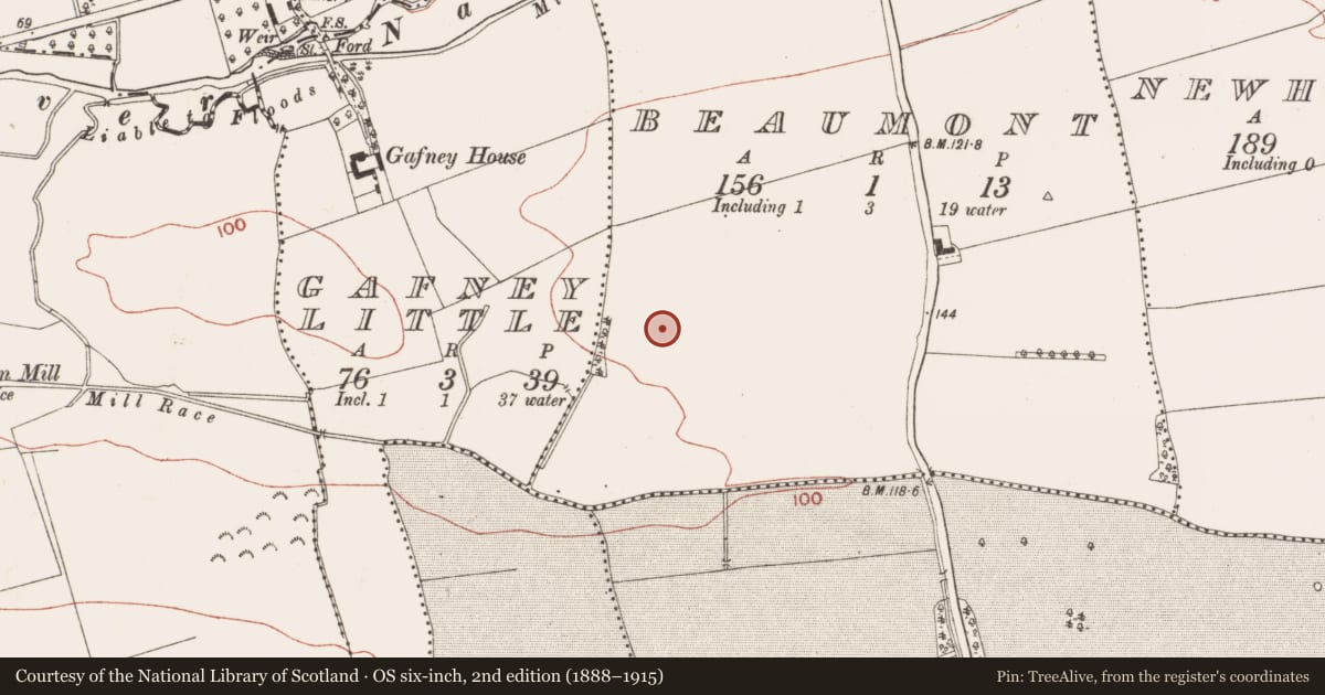 Ordnance Survey six-inch map, 2nd edition (1888–1915) covering the location of Enclosure, Beaumont, County Meath, with a pin at the register's coordinates