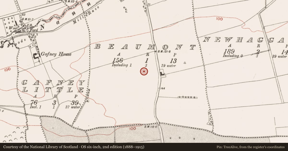 Ordnance Survey six-inch map, 2nd edition (1888–1915) covering the location of Enclosure, Beaumont, County Meath, with a pin at the register's coordinates