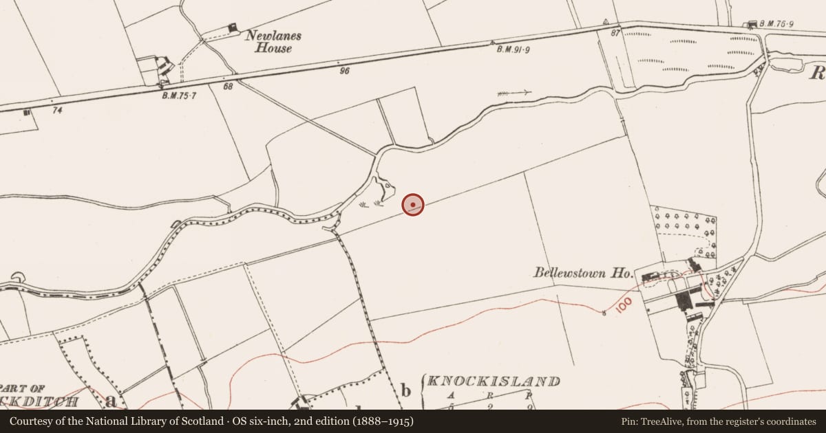 Ordnance Survey six-inch map, 2nd edition (1888–1915) covering the location of Enclosure, Bellewstown, County Meath, with a pin at the register's coordinates