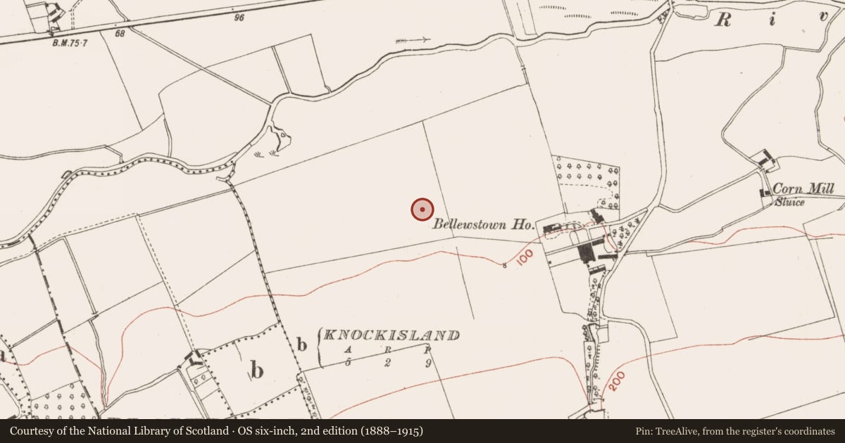 Ordnance Survey six-inch map, 2nd edition (1888–1915) covering the location of Ring-ditch, Bellewstown, County Meath, with a pin at the register's coordinates