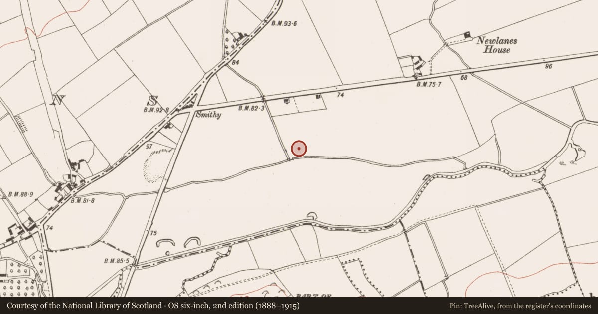Ordnance Survey six-inch map, 2nd edition (1888–1915) covering the location of Enclosure, Bellewstown, County Meath, with a pin at the register's coordinates