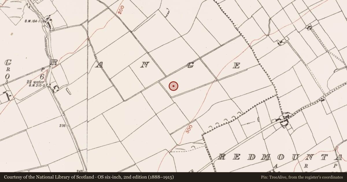 Ordnance Survey six-inch map, 2nd edition (1888–1915) covering the location of Mound, Roughgrange, County Meath, with a pin at the register's coordinates