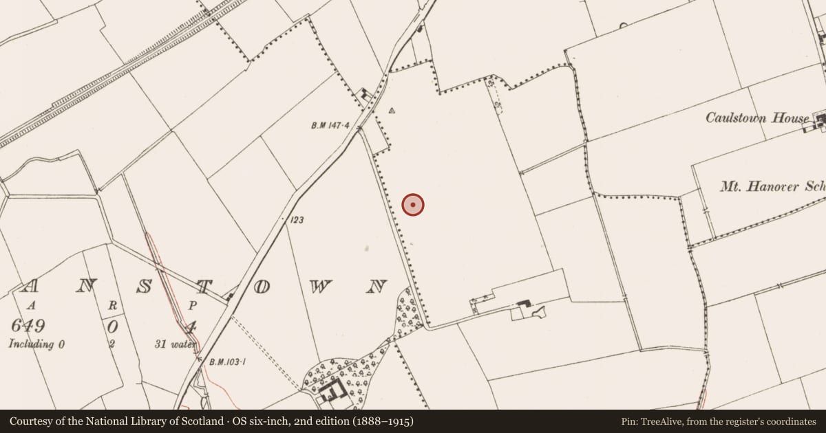 Ordnance Survey six-inch map, 2nd edition (1888–1915) covering the location of Enclosure, Caulstown, County Meath, with a pin at the register's coordinates
