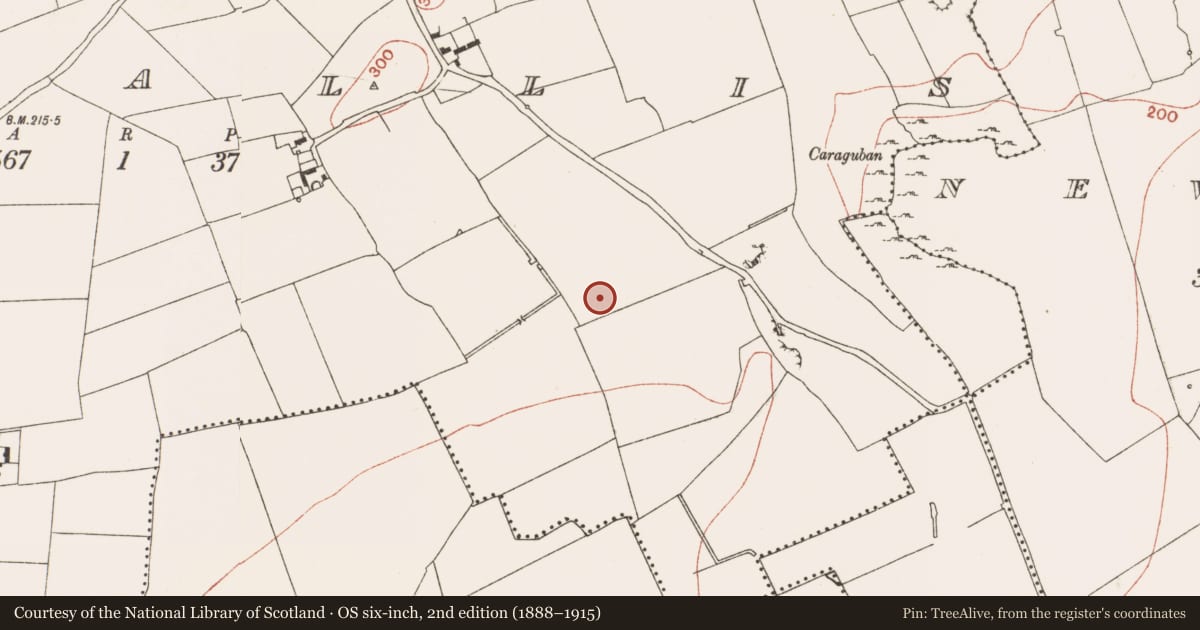 Ordnance Survey six-inch map, 2nd edition (1888–1915) covering the location of Mound, Corballis, County Meath, with a pin at the register's coordinates