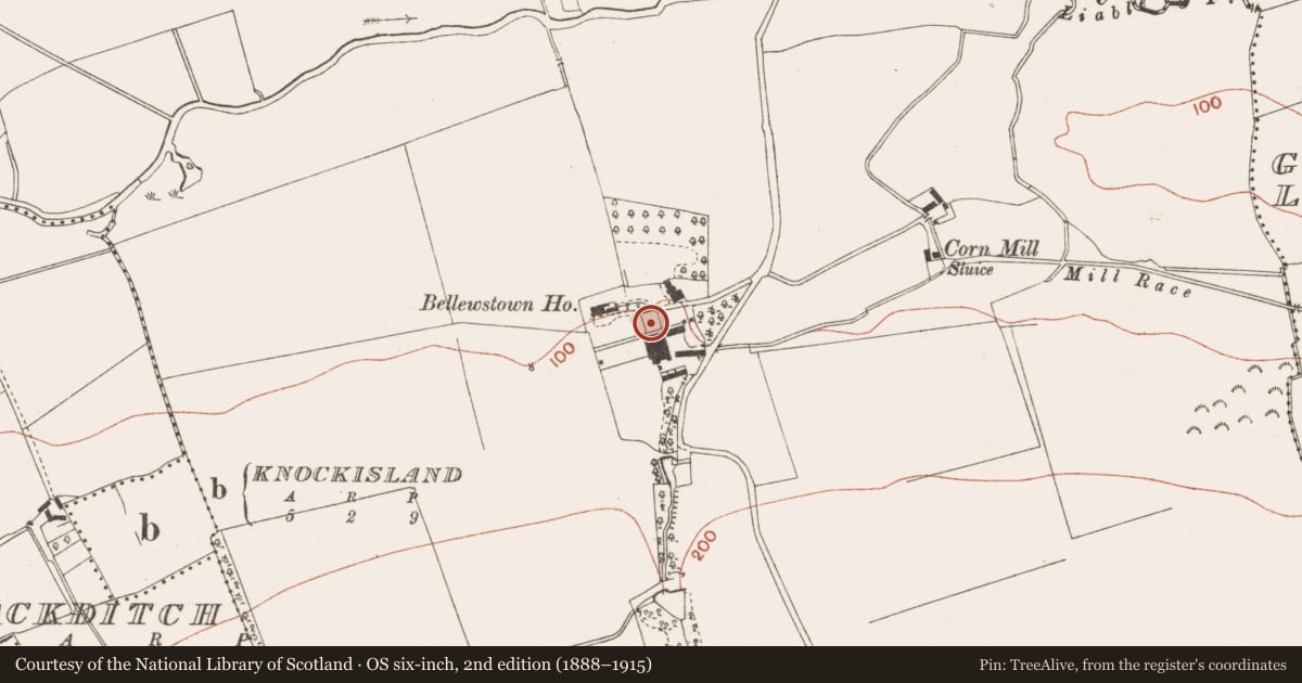 Ordnance Survey six-inch map, 2nd edition (1888–1915) covering the location of Castle - unclassified, Bellewstown, County Meath, with a pin at the register's coordinates
