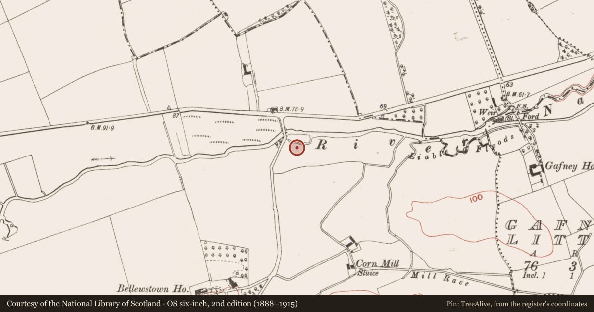 Ordnance Survey six-inch map, 2nd edition (1888–1915) covering the location of Burial ground, Bellewstown, County Meath, with a pin at the register's coordinates