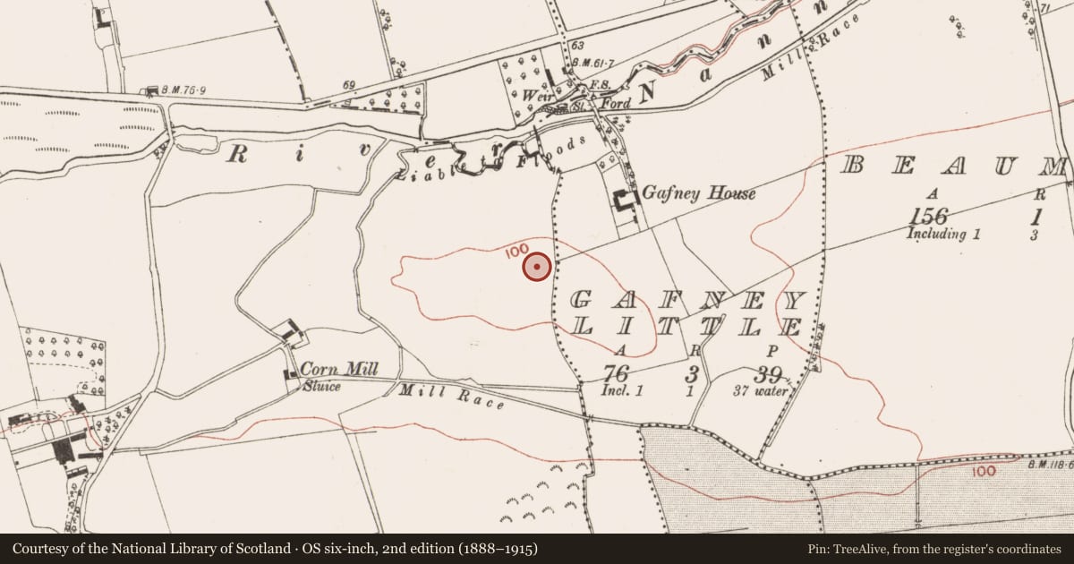 Ordnance Survey six-inch map, 2nd edition (1888–1915) covering the location of Ring-ditch, Bellewstown, County Meath, with a pin at the register's coordinates