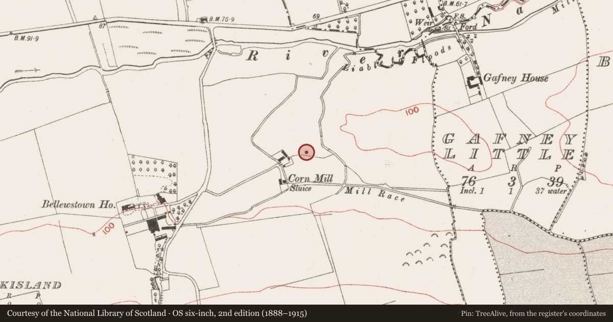 Ordnance Survey six-inch map, 2nd edition (1888–1915) covering the location of Ringfort - unclassified, Bellewstown, County Meath, with a pin at the register's coordinates