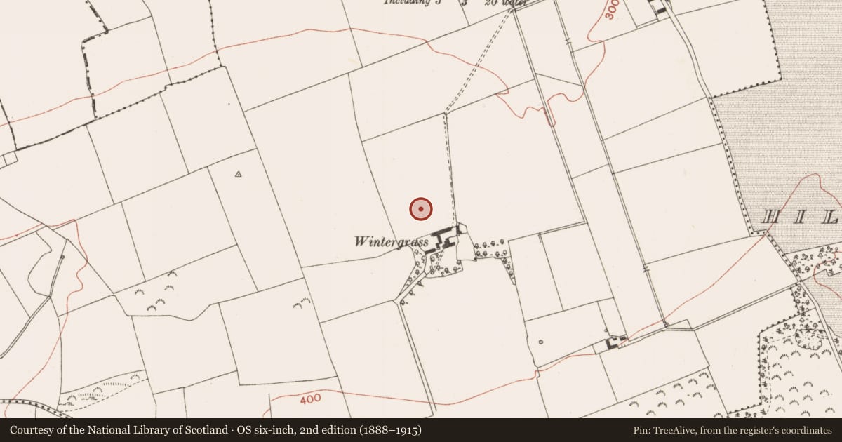 Ordnance Survey six-inch map, 2nd edition (1888–1915) covering the location of Standing stone, Bellewstown, County Meath, with a pin at the register's coordinates