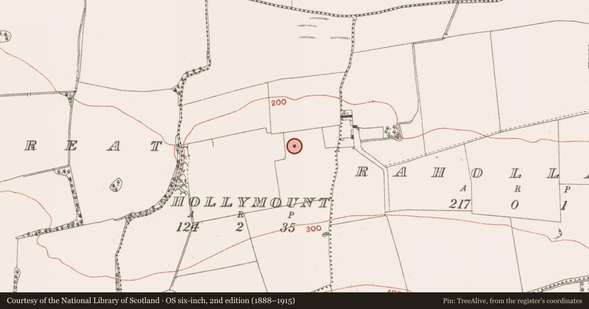 Ordnance Survey six-inch map, 2nd edition (1888–1915) covering the location of Castle - ringwork, Hollymount, County Meath, with a pin at the register's coordinates