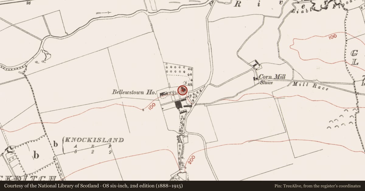 Ordnance Survey six-inch map, 2nd edition (1888–1915) covering the location of Inscribed stone, Bellewstown, County Meath, with a pin at the register's coordinates