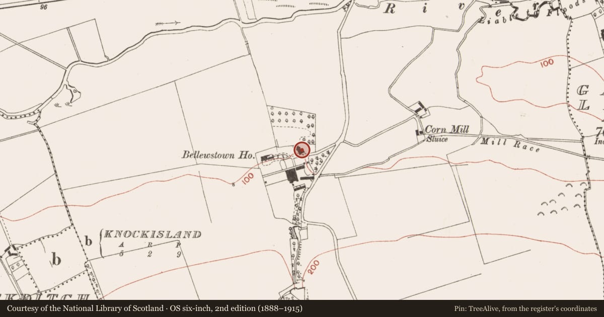 Ordnance Survey six-inch map, 2nd edition (1888–1915) covering the location of Inscribed stone, Bellewstown, County Meath, with a pin at the register's coordinates