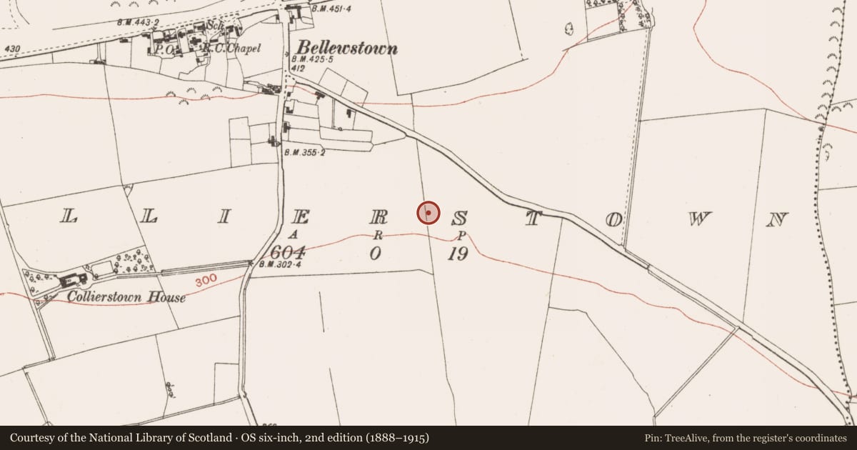 Ordnance Survey six-inch map, 2nd edition (1888–1915) covering the location of Ringfort - rath, Collierstown, County Meath, with a pin at the register's coordinates
