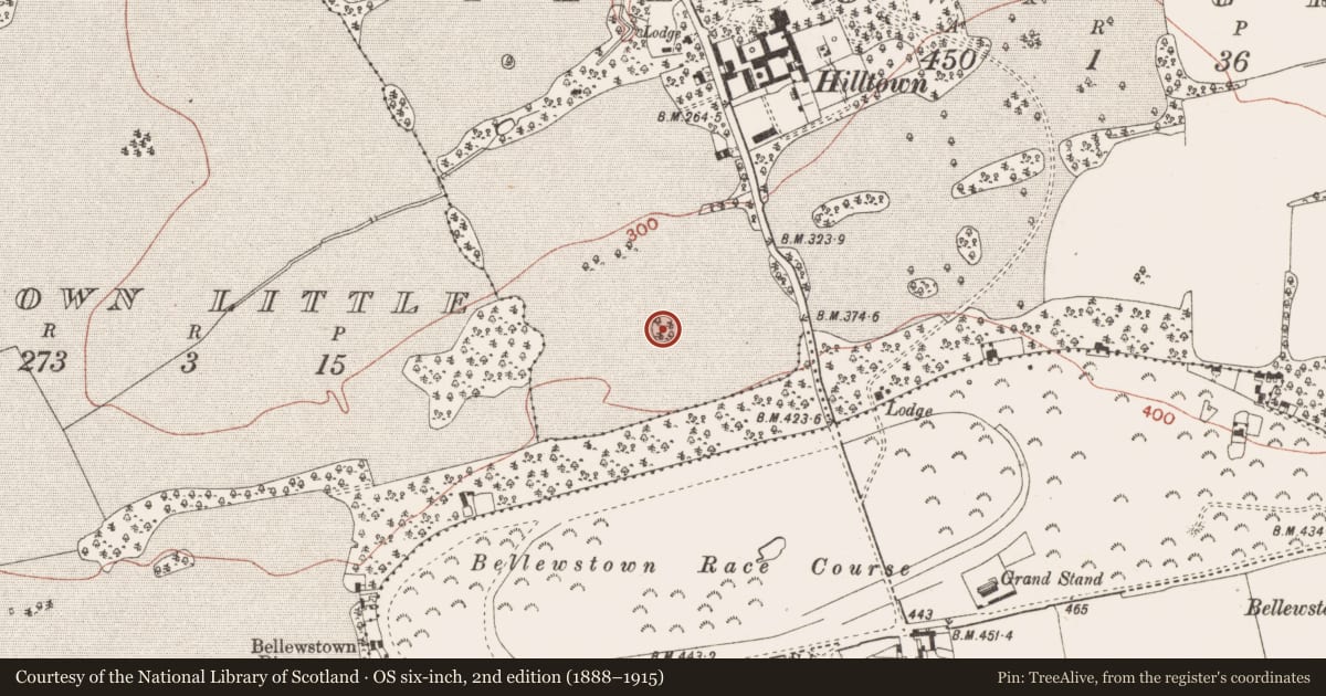 Ordnance Survey six-inch map, 2nd edition (1888–1915) covering the location of Designed landscape feature, Hilltown Great, County Meath, with a pin at the register's coordinates