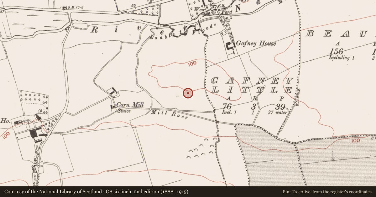 Ordnance Survey six-inch map, 2nd edition (1888–1915) covering the location of Ringfort - rath, Bellewstown, County Meath, with a pin at the register's coordinates