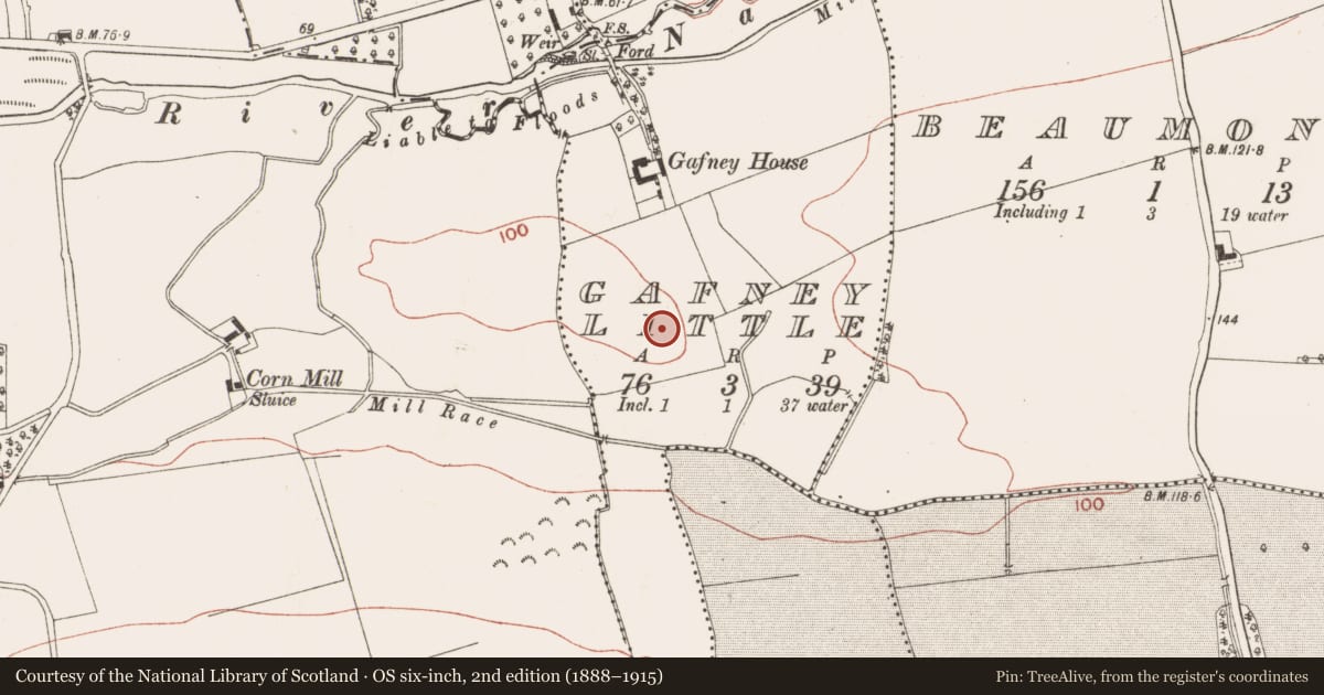 Ordnance Survey six-inch map, 2nd edition (1888–1915) covering the location of Ringfort - rath, Gafney Little, County Meath, with a pin at the register's coordinates