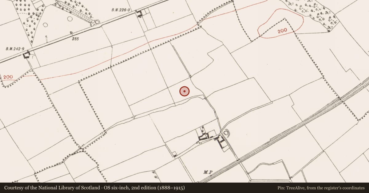 Ordnance Survey six-inch map, 2nd edition (1888–1915) covering the location of Fulacht fia, Carranstown, County Meath, with a pin at the register's coordinates