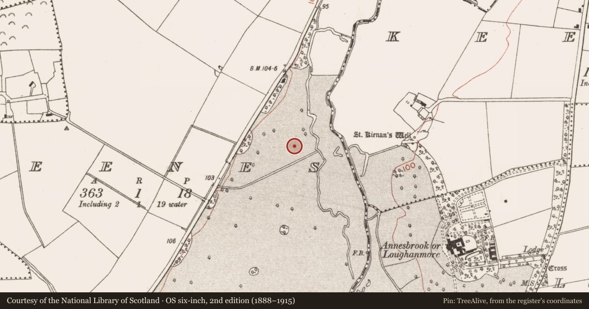 Ordnance Survey six-inch map, 2nd edition (1888–1915) covering the location of Enclosure, Deenes, County Meath, with a pin at the register's coordinates