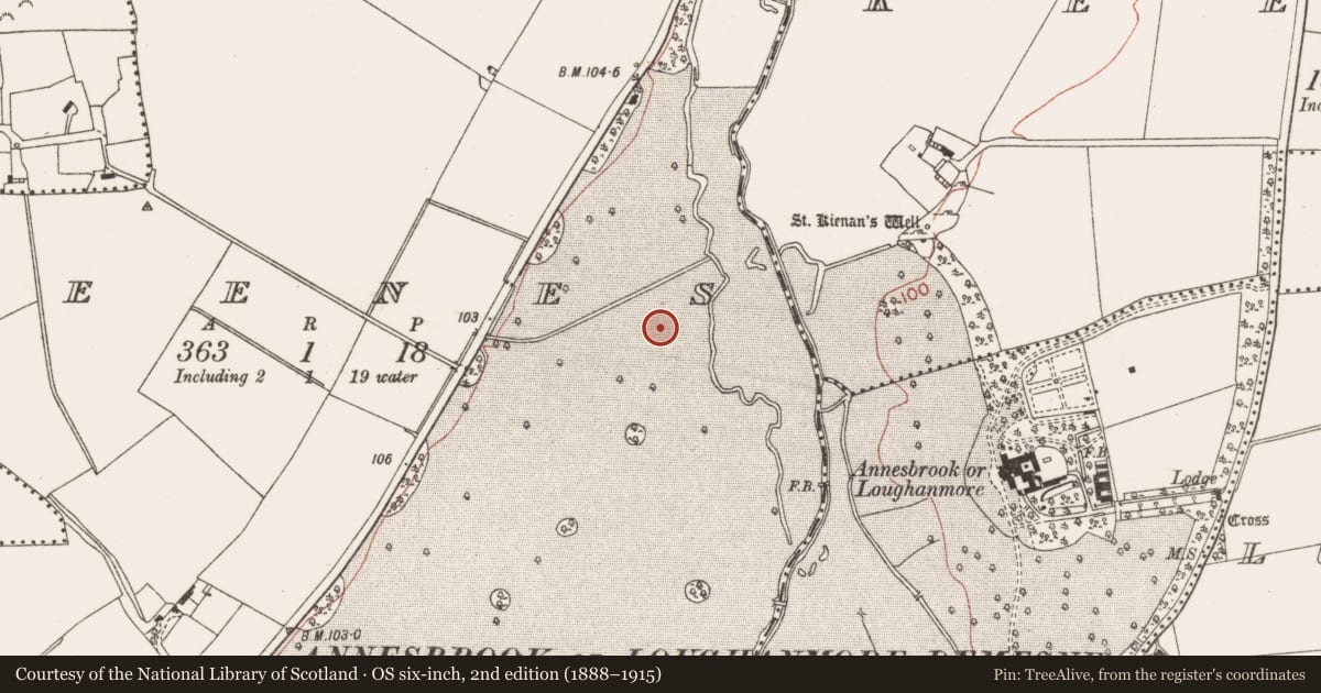 Ordnance Survey six-inch map, 2nd edition (1888–1915) covering the location of Enclosure, Deenes, County Meath, with a pin at the register's coordinates