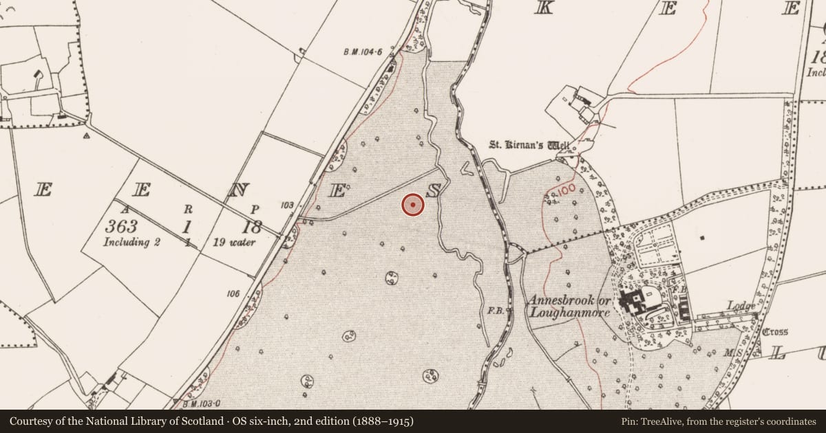 Ordnance Survey six-inch map, 2nd edition (1888–1915) covering the location of Ring-ditch, Deenes, County Meath, with a pin at the register's coordinates