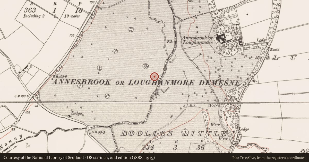 Ordnance Survey six-inch map, 2nd edition (1888–1915) covering the location of Linear earthwork, Deenes, County Meath, with a pin at the register's coordinates