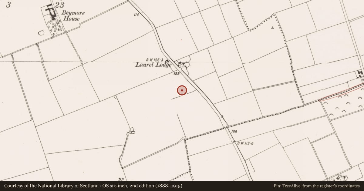 Ordnance Survey six-inch map, 2nd edition (1888–1915) covering the location of Ringfort - rath, Bey More, County Meath, with a pin at the register's coordinates