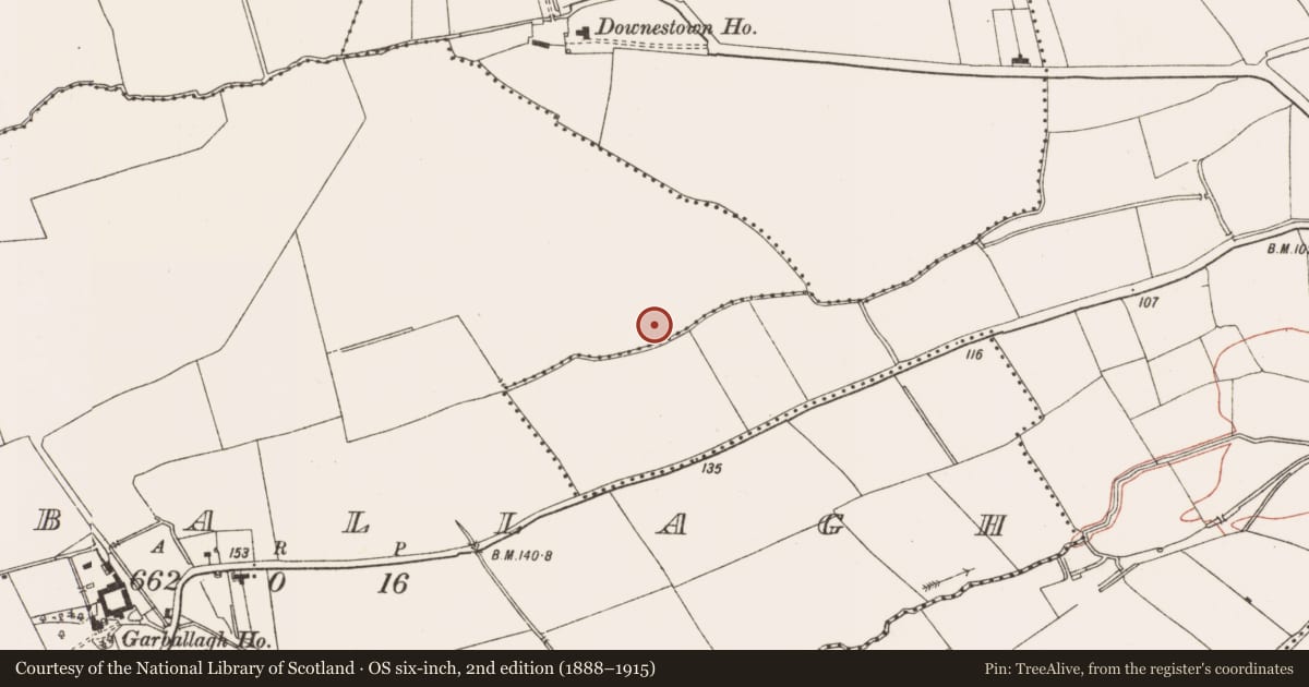 Ordnance Survey six-inch map, 2nd edition (1888–1915) covering the location of Ring-ditch, Garballagh, County Meath, with a pin at the register's coordinates