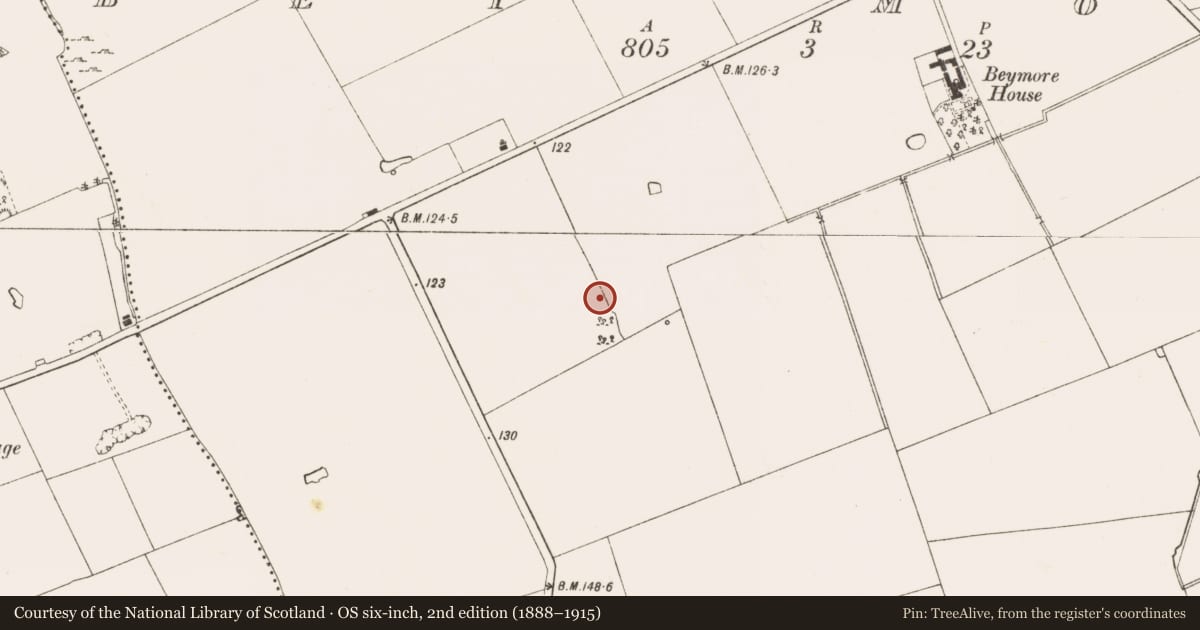 Ordnance Survey six-inch map, 2nd edition (1888–1915) covering the location of Ring-ditch, Bey More, County Meath, with a pin at the register's coordinates