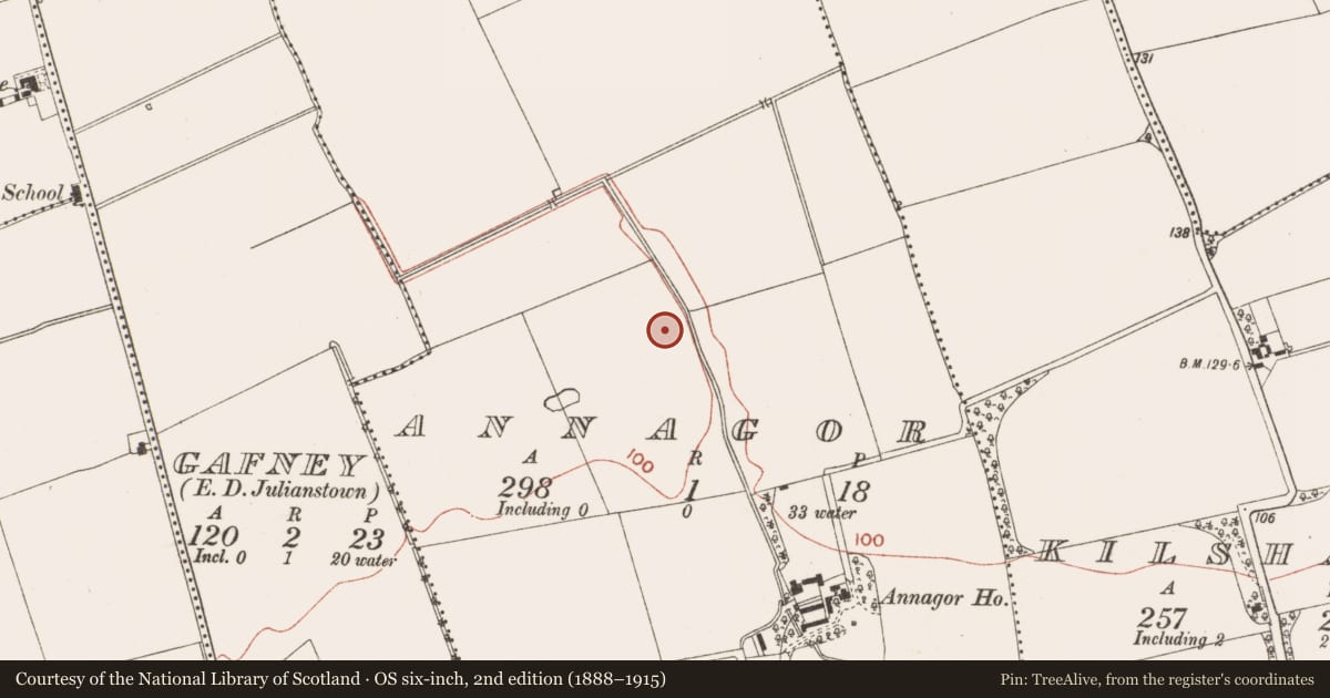Ordnance Survey six-inch map, 2nd edition (1888–1915) covering the location of Ring-ditch, Annagor, County Meath, with a pin at the register's coordinates