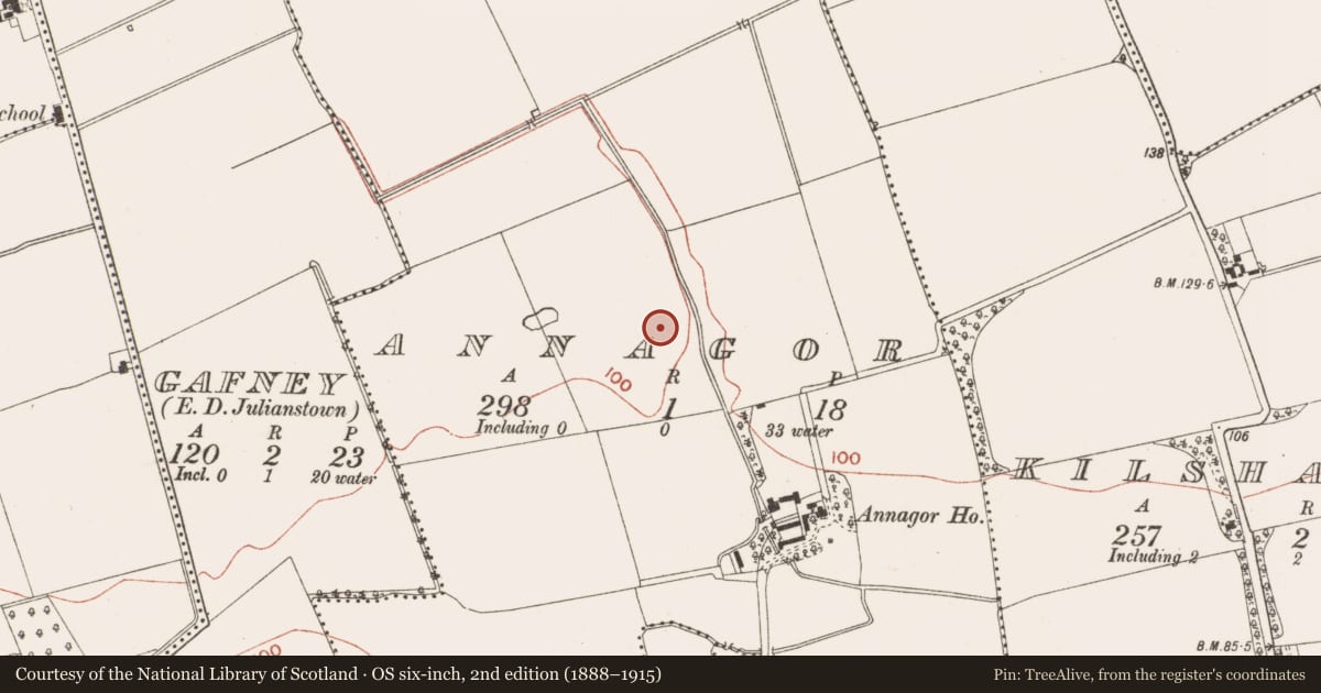 Ordnance Survey six-inch map, 2nd edition (1888–1915) covering the location of Ring-ditch, Annagor, County Meath, with a pin at the register's coordinates