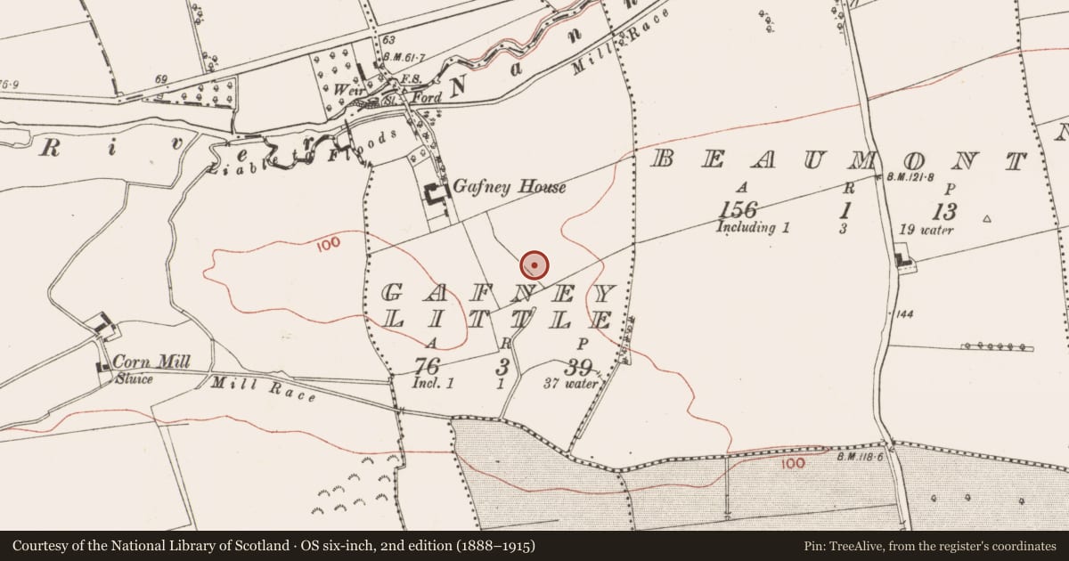 Ordnance Survey six-inch map, 2nd edition (1888–1915) covering the location of Ringfort - rath, Gafney Little, County Meath, with a pin at the register's coordinates