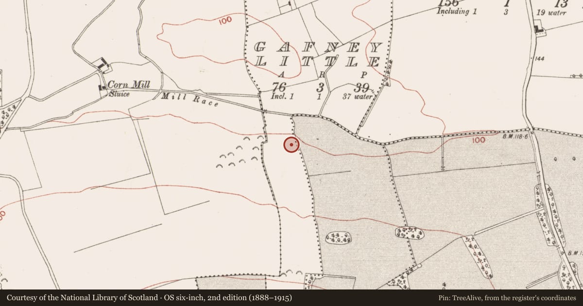 Ordnance Survey six-inch map, 2nd edition (1888–1915) covering the location of Ring-ditch, Gafney Little, County Meath, with a pin at the register's coordinates