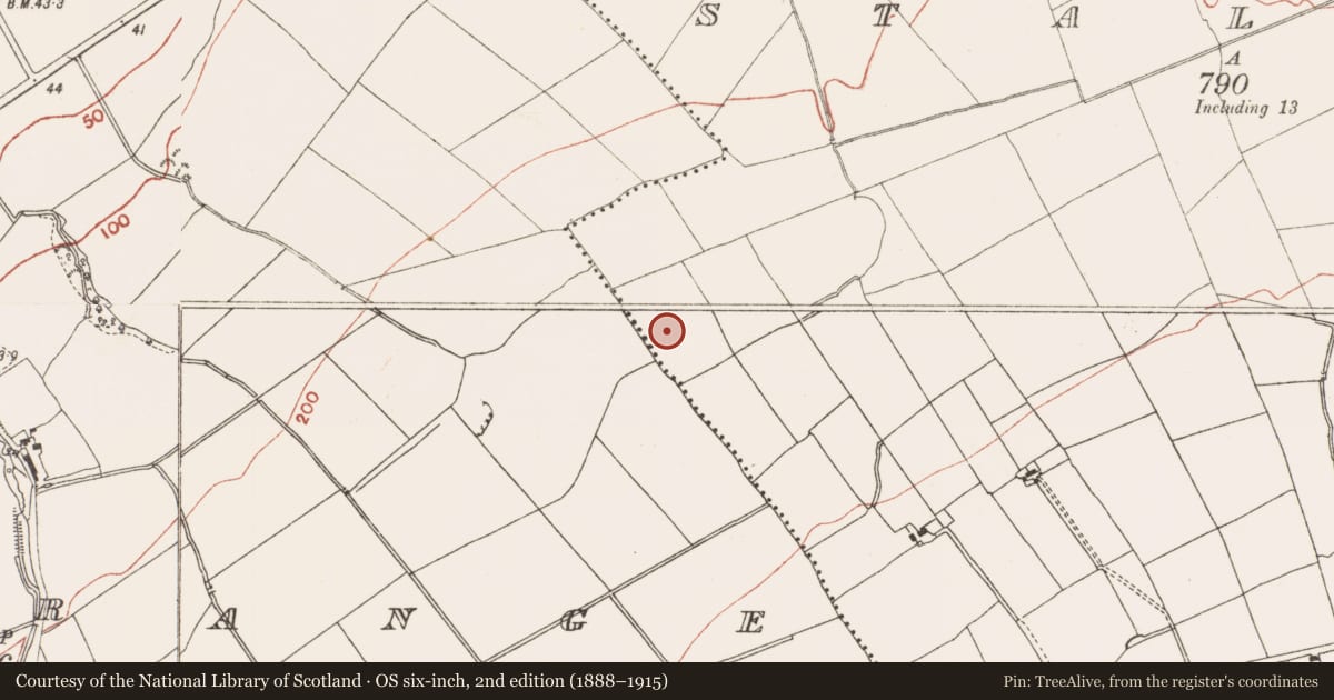 Ordnance Survey six-inch map, 2nd edition (1888–1915) covering the location of Mound, Stalleen, County Meath, with a pin at the register's coordinates
