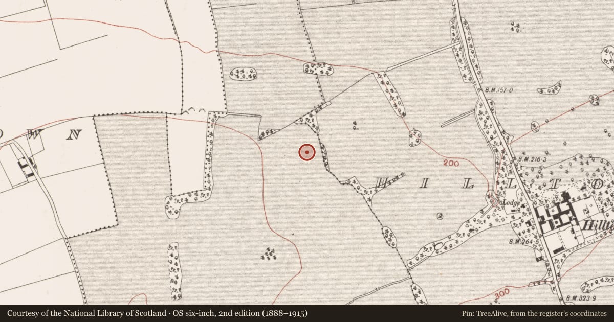 Ordnance Survey six-inch map, 2nd edition (1888–1915) covering the location of Ring-ditch, Hilltown Great, County Meath, with a pin at the register's coordinates