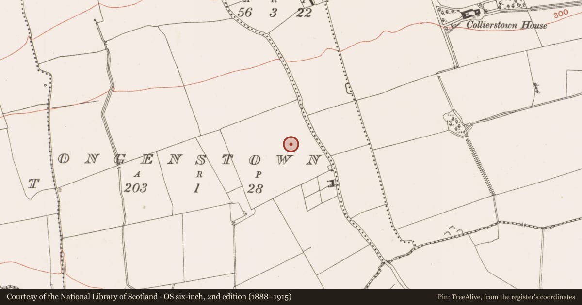 Ordnance Survey six-inch map, 2nd edition (1888–1915) covering the location of Enclosure, Ongenstown, County Meath, with a pin at the register's coordinates