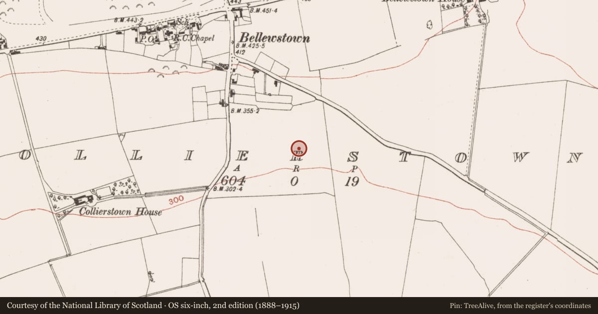 Ordnance Survey six-inch map, 2nd edition (1888–1915) covering the location of Enclosure, Collierstown, County Meath, with a pin at the register's coordinates